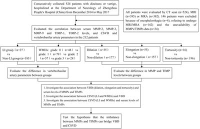 Basilar Artery Tortuosity Is Associated With White Matter Hyperintensities by TIMP-1